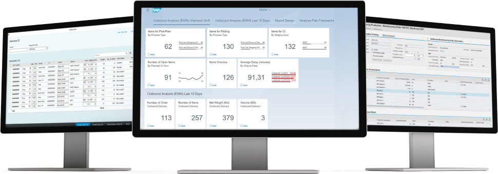 screenshot of SAP Extended Warehouse Management